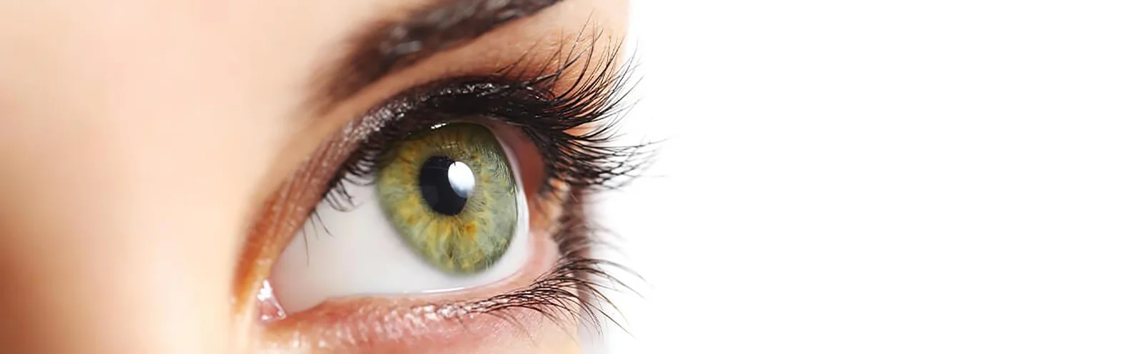 Univers visuel oculoplastie